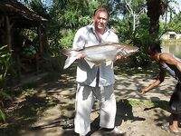 Патонг: рапан, мидия и вечерняя попытка по кальмару