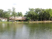 Патонг: рапан, мидия и вечерняя попытка по кальмару