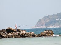 Пхукет: Патонг, кальмар и мидия на камнях