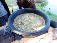 Чалонг: каракатица с камней и меконг на платнике