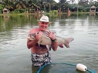 Чалонг: каракатица с камней и меконг на платнике