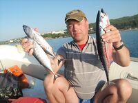 Алания: Инжекум, лодка в километре от берега и паламут