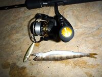 Анталия: цикады, стики и короткое утреннее окно по баллону