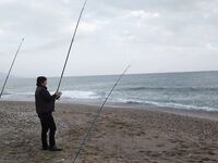 Анталия: шторм, разобранные пирсы и ракушка вместо железа