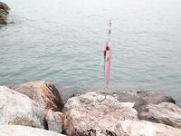 Анталия: шторм, разобранные пирсы и ракушка вместо железа