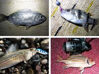 Кемер: Бельдиби, Ridge 56 и короткое окно до света