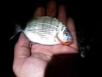 Кемер: Бельдиби, Ridge 56 и короткое окно до света