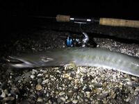 Кемер: Бельдиби, Ridge 56 и короткое окно до света