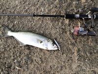 Конаклы: воблеры по темноте и окно до восьми утра