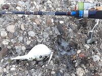 Конаклы: пирс на десяти метрах и луфарь до рассвета