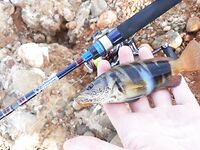 Конаклы: пирс на десяти метрах и луфарь до рассвета