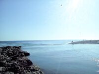 Анталия, устье Алары: баллоны с поверхности и группер на минноу