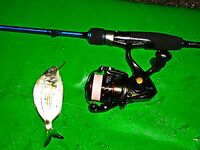 Бельдиби: три комплекта, микроджиг 2-3 г и море под ветер