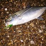 Белек: пляжный отель, топвотеры и металл на меляке