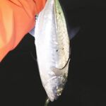 Белек: пляжный отель, топвотеры и металл на меляке