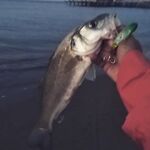 Белек: пляжный отель, топвотеры и металл на меляке