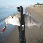 Белек: пляжный отель, топвотеры и металл на меляке