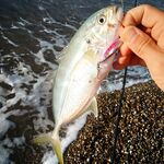 Белек: пляжный отель, топвотеры и металл на меляке