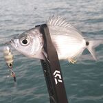 Белек: пляжный отель, топвотеры и металл на меляке