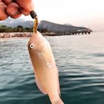 Анталия: жаркое море, барракуда на железо и баллоны с пляжа