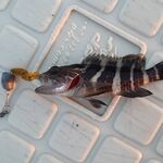 Анталия: жаркое море, барракуда на железо и баллоны с пляжа