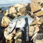 Белек: большие топвотеры и сход трофея у самого берега