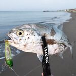 Белек: большие топвотеры и сход трофея у самого берега