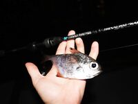 Анталия: ночной пирс, Breaden 13VIB30 и веса 1,5–2 г