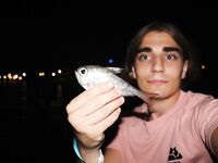 Анталия: ночной пирс, Breaden 13VIB30 и веса 1,5–2 г