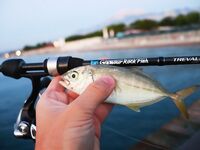 Анталия: ночной пирс, Breaden 13VIB30 и веса 1,5–2 г