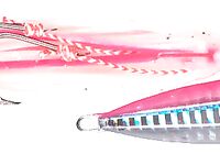 Бентота: береговая рыбалка на микроджиг между океаном и рекой