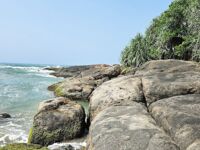 Бентота: береговая рыбалка на микроджиг между океаном и рекой