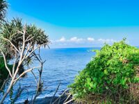 Бентота: береговая рыбалка на микроджиг между океаном и рекой