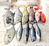 Хиккадува: лодочный джиггинг и поппинг по GT и груперу