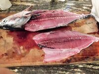 Хиккадува: лодочный джиггинг и поппинг по GT и груперу