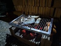 Шри-Ланка: как готовили тревали, снеппера и групера после рыбалки