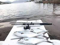 Рыбалка в Ичмелере в порту: бонито на живца и редкие выходы