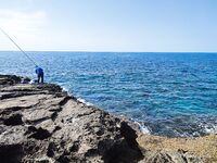 Tict Caro S 6,7 г вывел рыбу-флейту из камней Инжекума