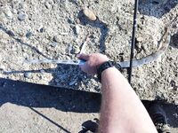 Tict Caro S 6,7 г вывел рыбу-флейту из камней Инжекума