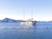 Белый Duo Spearhead 7 см остался между камней Хисароню