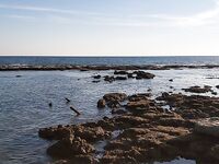 Сибас в десять тридцать обманул ожидания у ручья Чолаклы