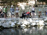 Нулевое море в Кемере отправило мой спиннинг к форели