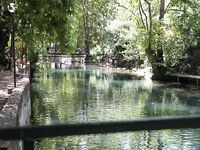 Нулевое море в Кемере отправило мой спиннинг к форели