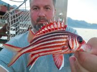 Крючок великоват но отводной за час успел надергать