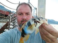 Крючок великоват но отводной за час успел надергать