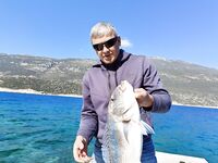 Рыба 3500 у мостков Каша заставила лезть на скользкую лестницу