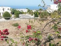 Кипрский календарь ведет тунца кальмара и сибаса к разным месяцам