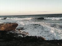 Кипрский календарь ведет тунца кальмара и сибаса к разным месяцам