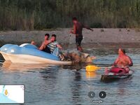 Сети Богазкента и устье Кёпрючай отбили береговую надежду