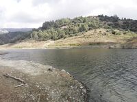 Канавиу напомнила Горный Алтай и дала стабильную форель